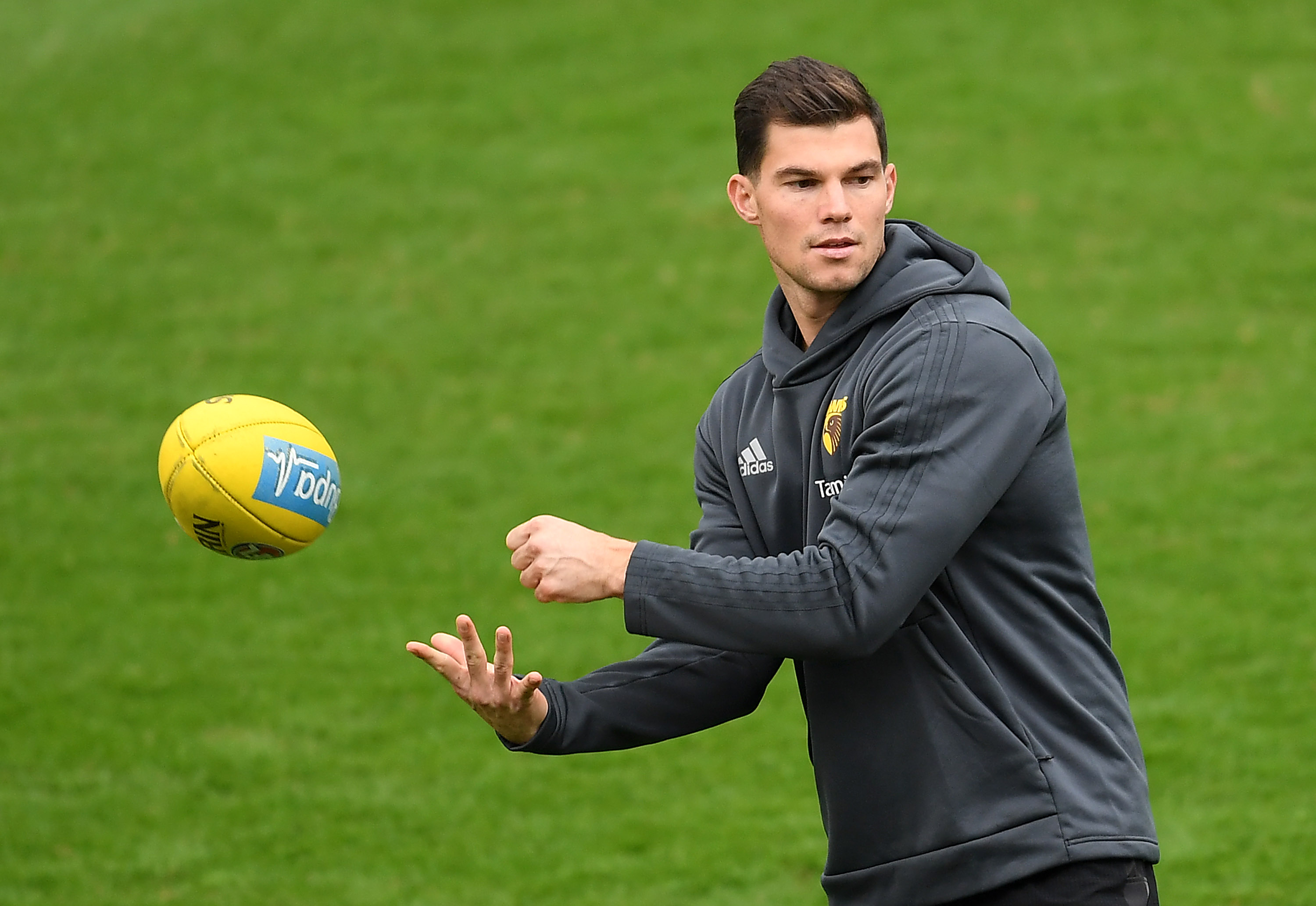 Article image for Hawthorn star Jaeger O’Meara suffers facial fracture
