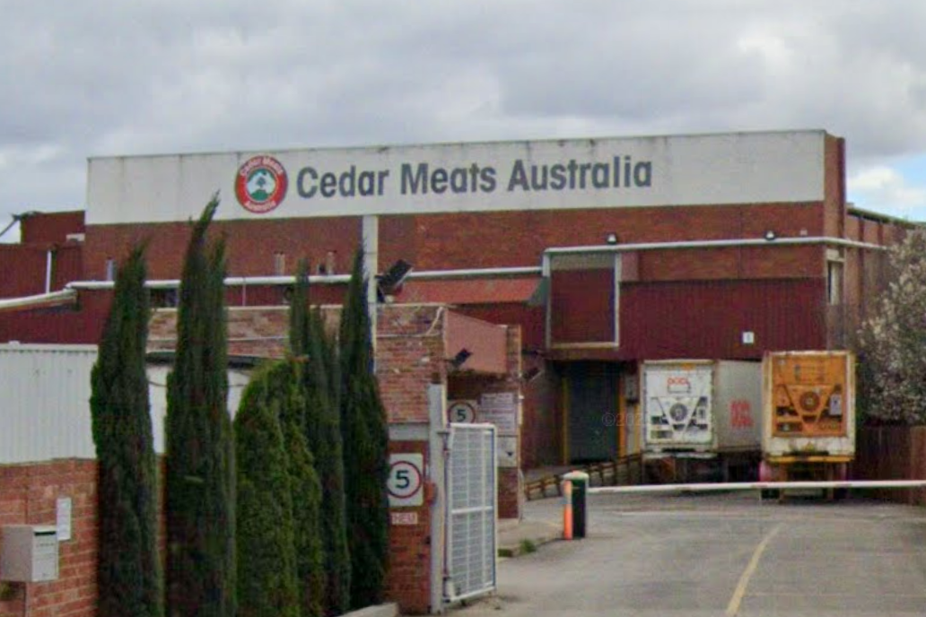 Article image for Meatworks COVID-19 cluster surges to 49 amid confusion over first worker diagnosed