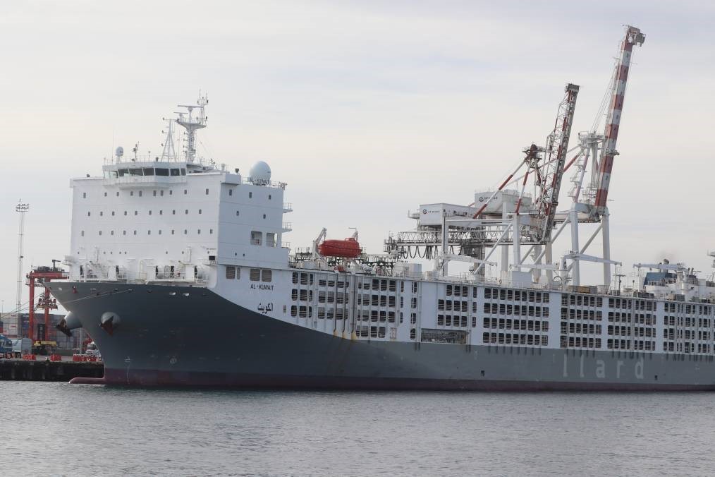 Article image for Coronavirus outbreak: Six people test positive on ship docked at Fremantle
