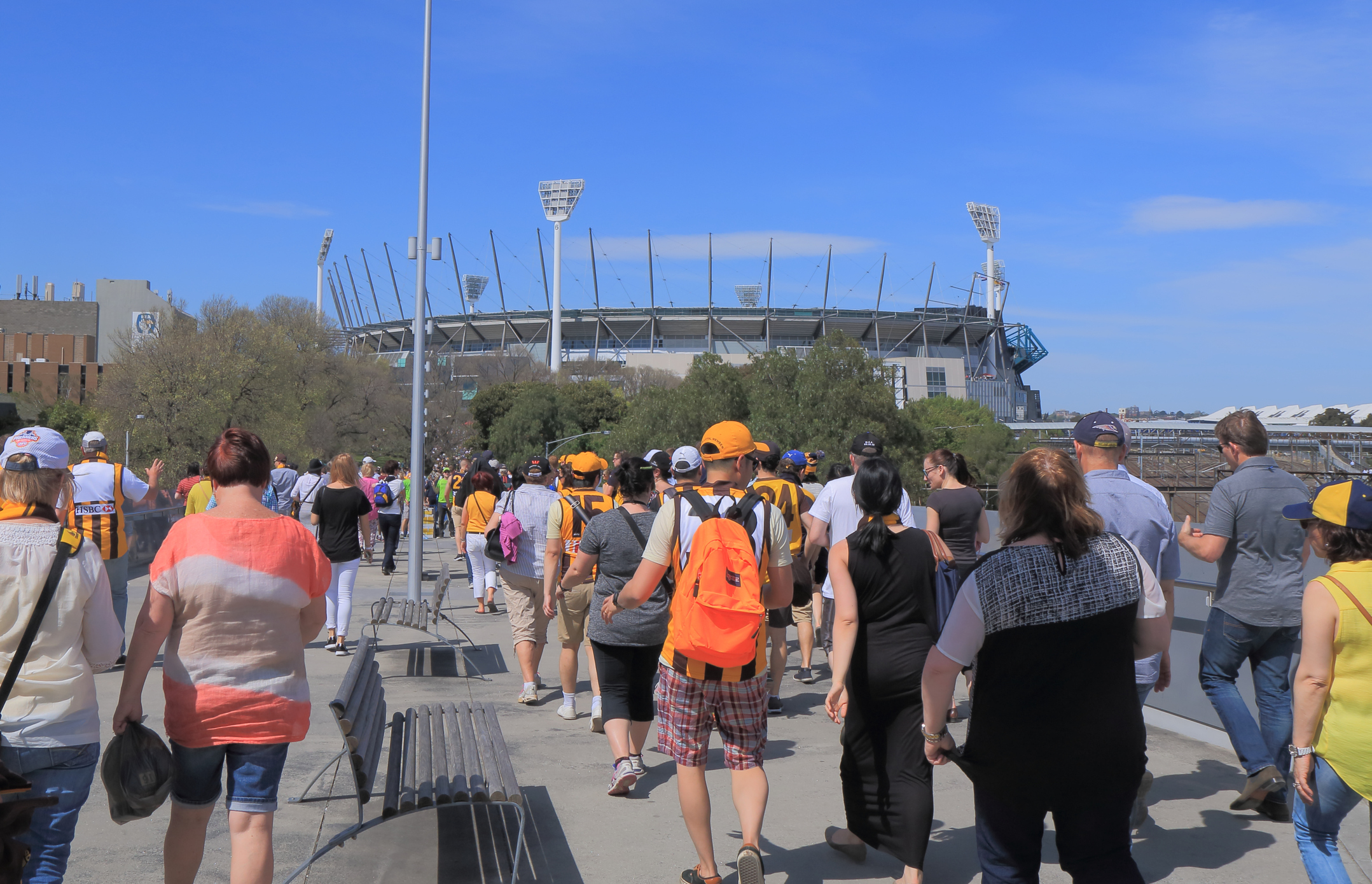 Article image for It’s far too early to talk about crowds at AFL games, says medical association