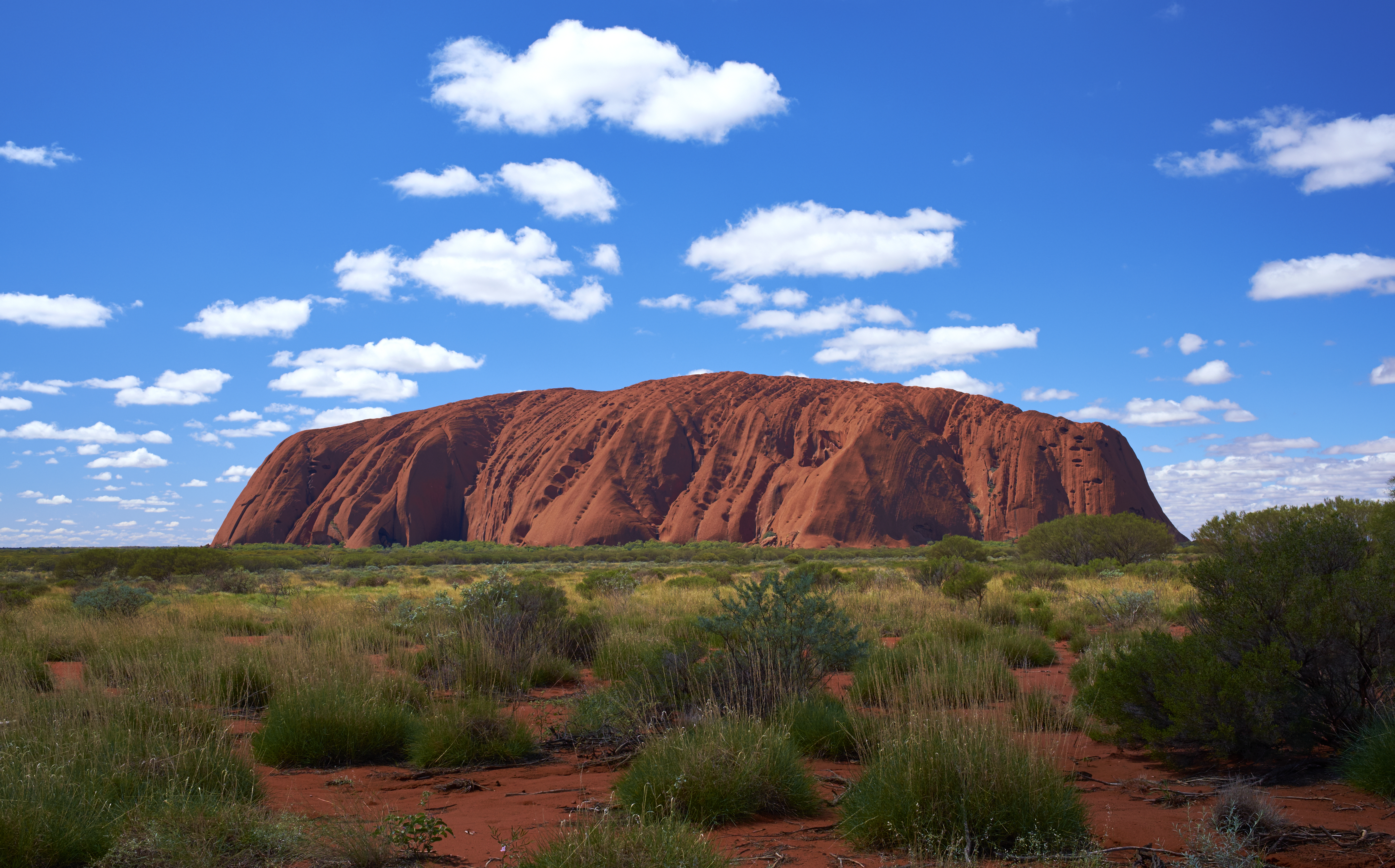 Article image for Push to (temporarily) lift ban on climbing Uluru