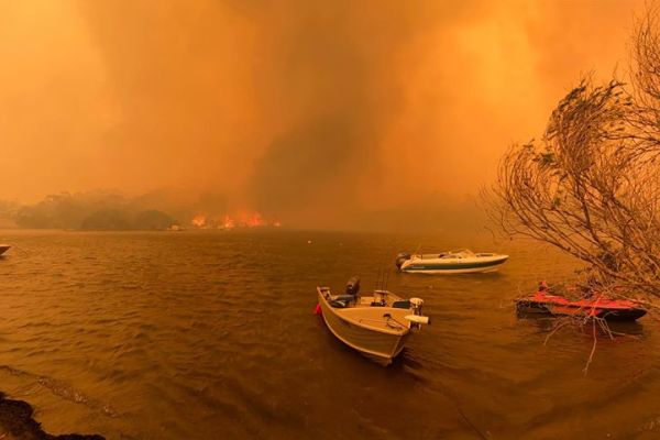 Article image for Why half of the money raised for bushfire victims still hasn’t been distributed