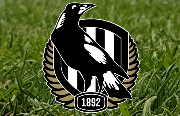 Article image for AFL investigates Collingwood players over alleged breach of COVID-19 rules