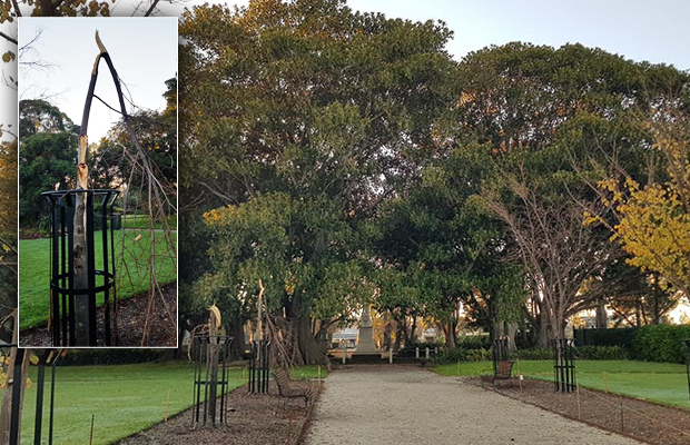 Article image for Confirmed: Mindless vandals attack botanic gardens upgrade