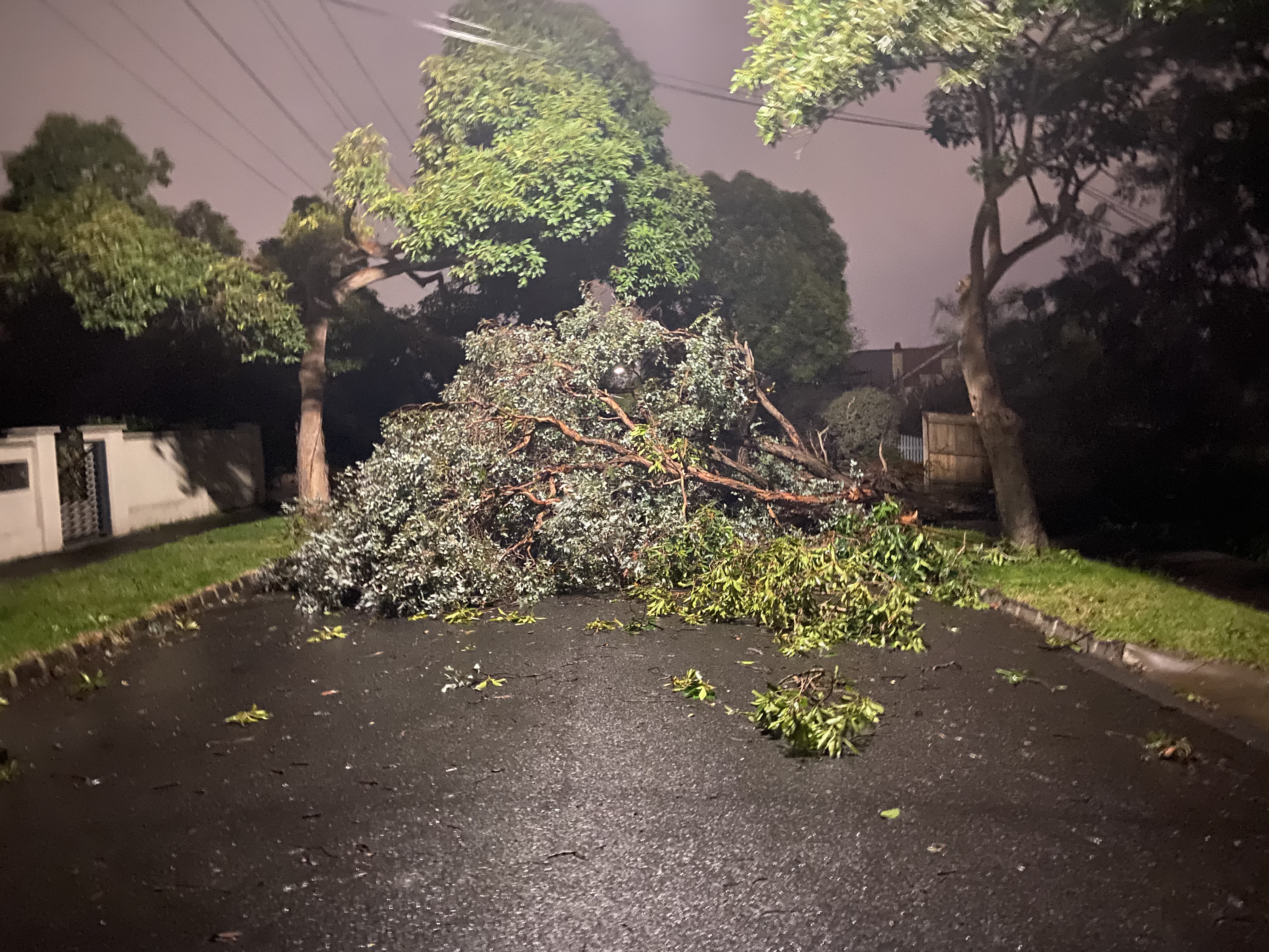Article image for Thousands of Victorians still without power after Thursday night storms
