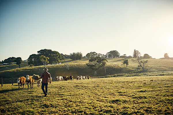 Article image for Victorian farmers warn of food ‘disaster’ if they’re not granted border crossing permits