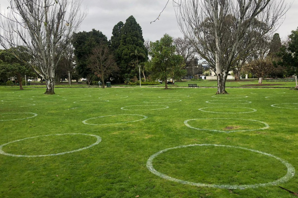 Article image for Why mysterious circles have appeared in parks in Melbourne’s east