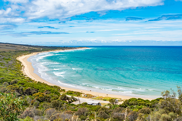 Article image for COVID-19 detected in coastal Victorian town’s wastewater