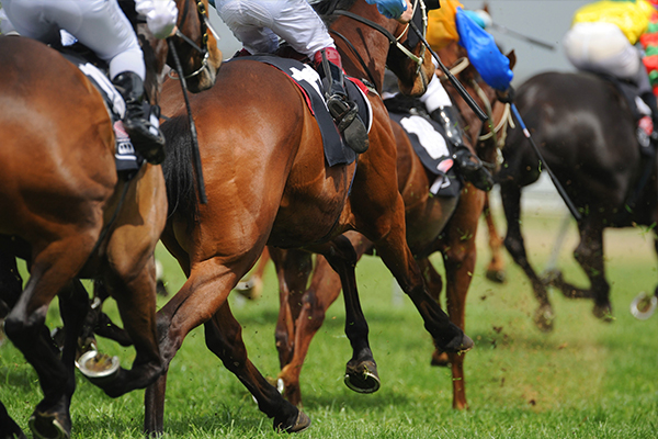 Article image for Racing Victoria moves to ban whip use on horses