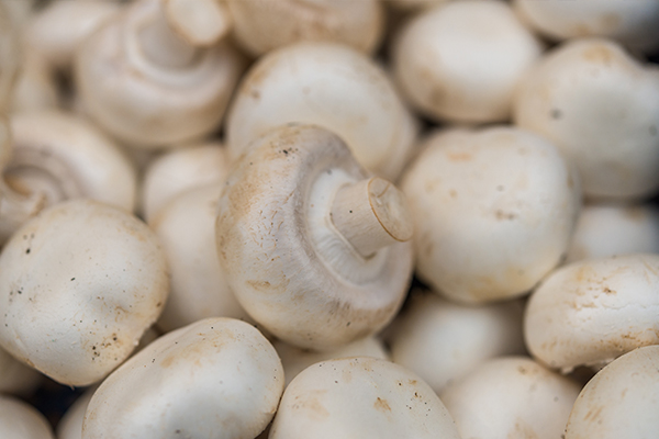 Article image for Why you should put mushrooms in the sun before you eat them