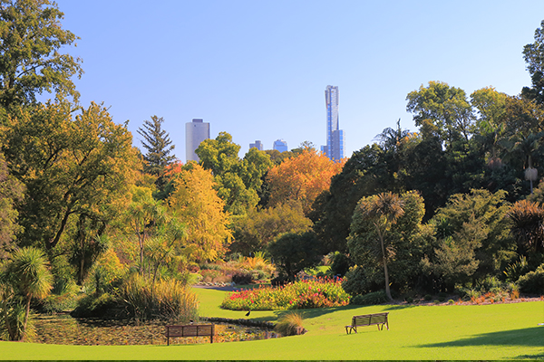 Article image for Get the picnic ready! The Royal Botanic Gardens are reopening