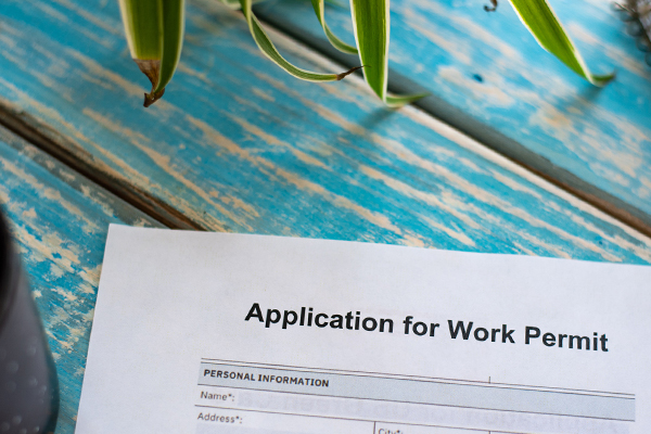 Article image for Some public sector work permits being extended ‘until end of November’