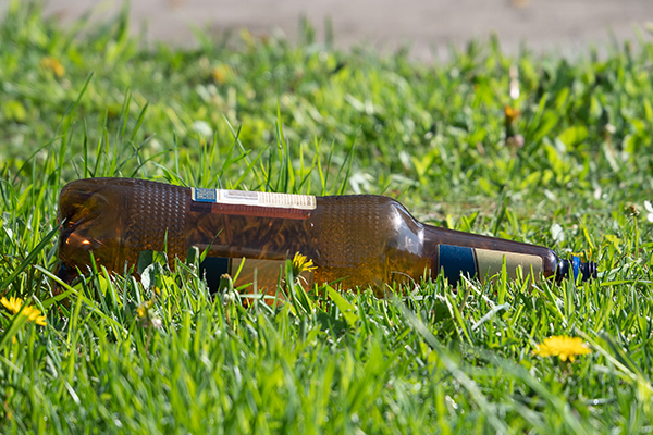 Article image for Council seriously considers permanent booze ban at popular park