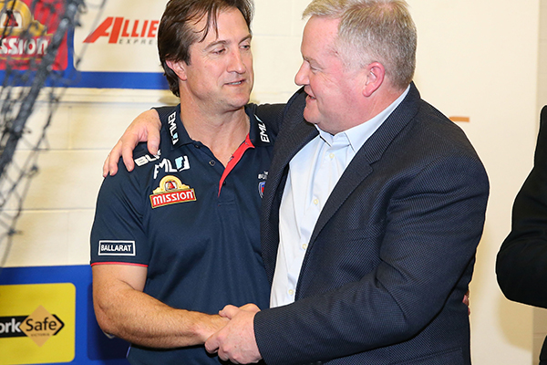 Article image for Peter Gordon steps down as Western Bulldogs president