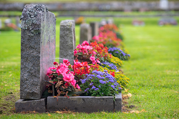 Article image for Australia is about to strike a cemetery shortage