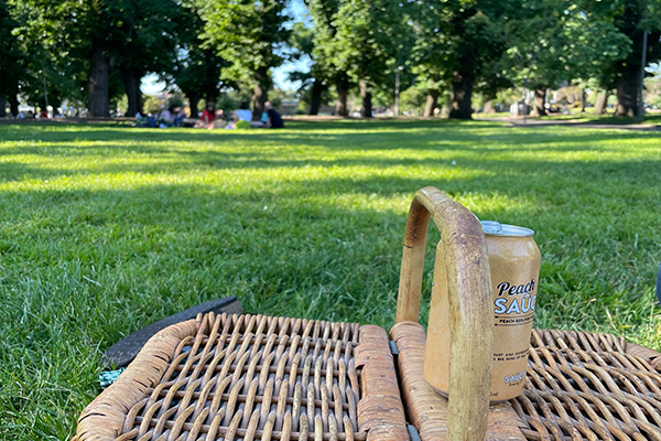 Article image for Tension brewing as council considers Edinburgh Gardens alcohol ban