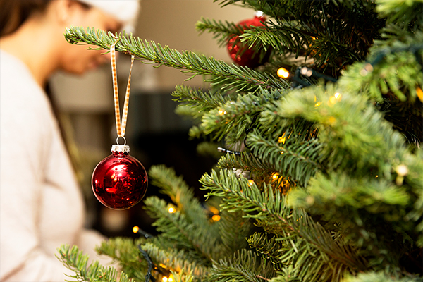 Article image for How a Christmas tree landed a Sydney woman in hospital