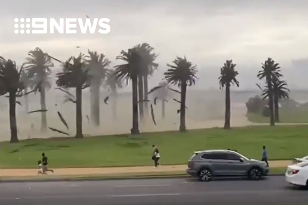 Article image for Wild winds lash Victoria, causing extensive damage