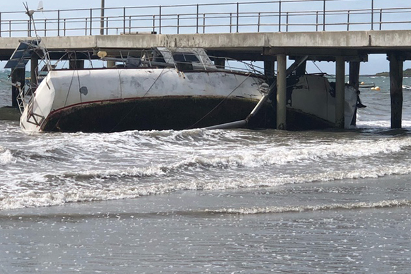 Article image for Wild winds wreak havoc on the Mornington Peninsula