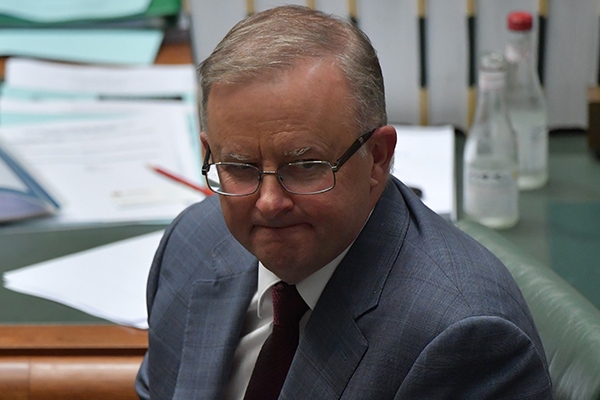 Article image for Anthony Albanese slips further behind Scott Morrison in polls