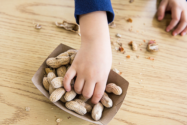 Article image for Why the rising rate of peanut allergies in Victorian kids has slowed