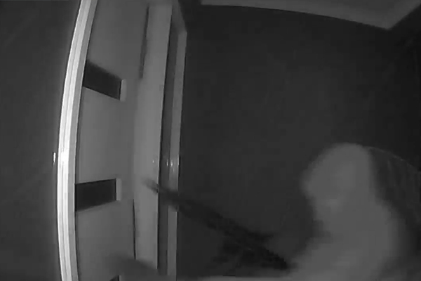 Article image for Frightening footage: Armed home invaders smash their way into a Keilor East home