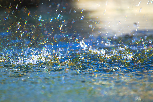 Article image for Wild weather warning: Damaging winds and heavy rainfall forecast for parts of Victoria