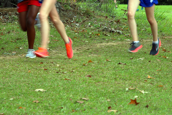 Article image for Council quirk forces school to cancel cross country training due to complaint