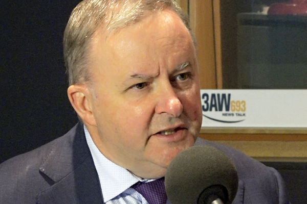 Article image for Anthony Albanese calls for vaccine cash incentives under plan to boost jabs