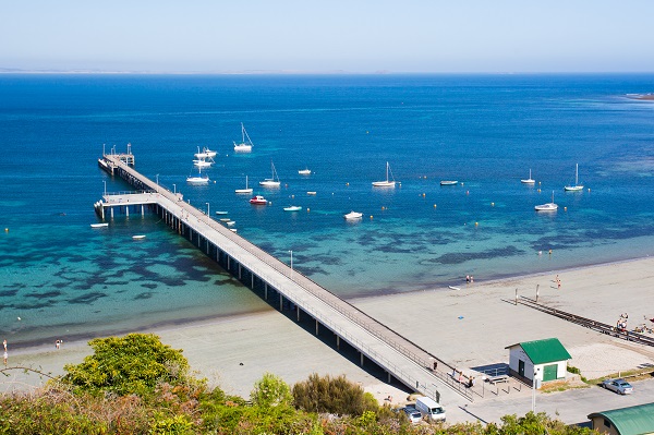 Article image for The fight to save a historical pier