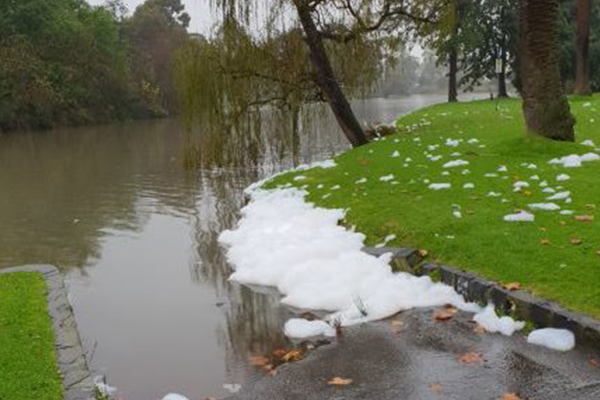 Merri Creek filled with white foam and bubbles