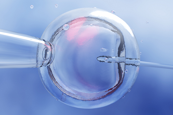 Article image for Why IVF children often have a ‘better quality of life’