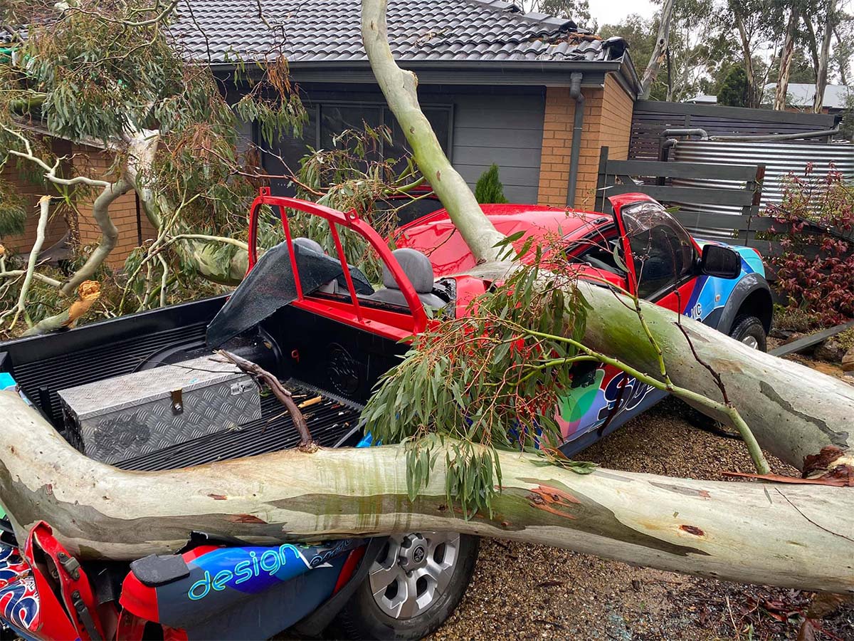 Article image for 3AW Breakfast helps out a CFA volunteer who narrowly avoided being crushed by a tree