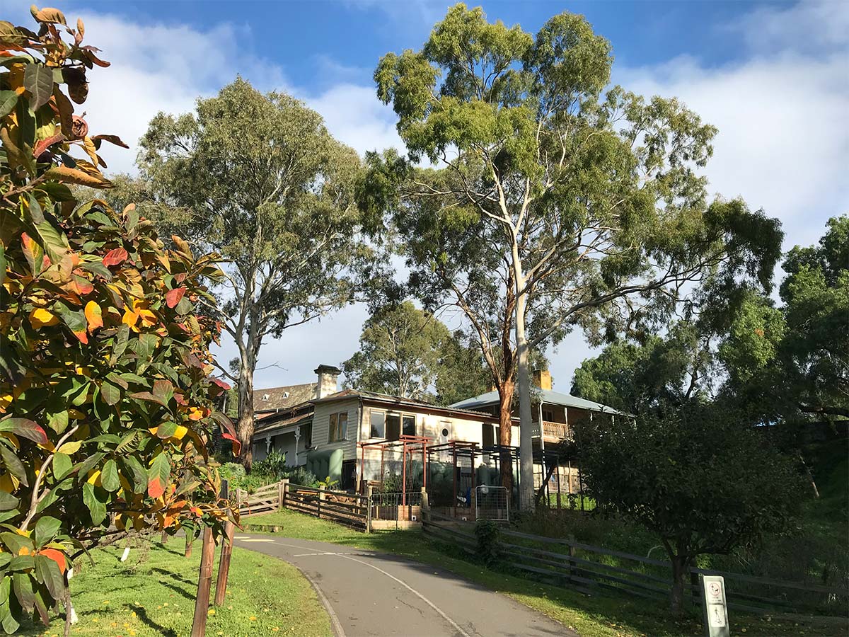 Article image for ‘Shock’ and ‘anger’ as plot holders suddenly barred from Collingwood community garden