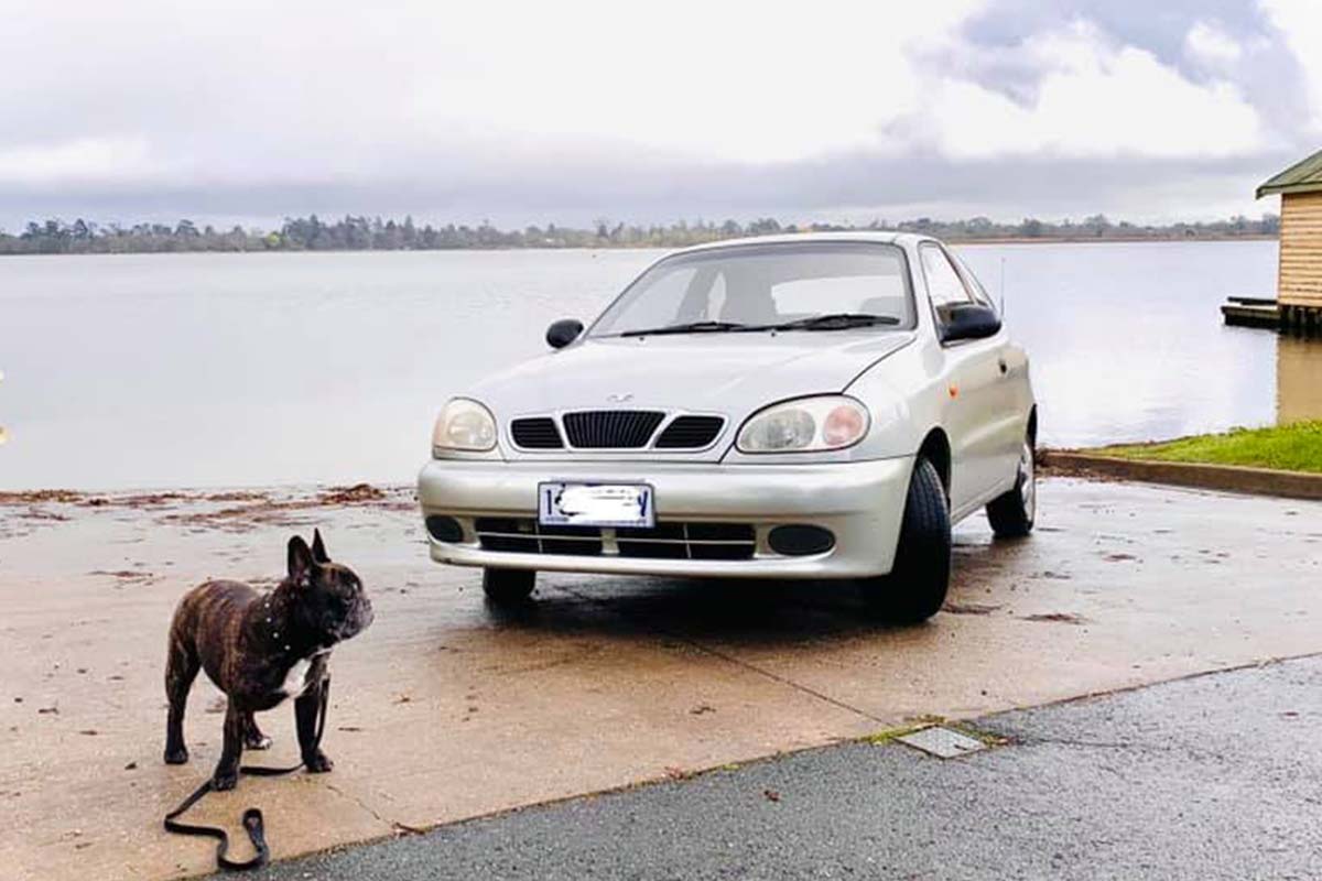 Article image for Ballarat man posts hilarious ad for ‘Ferrari-ish’ used car