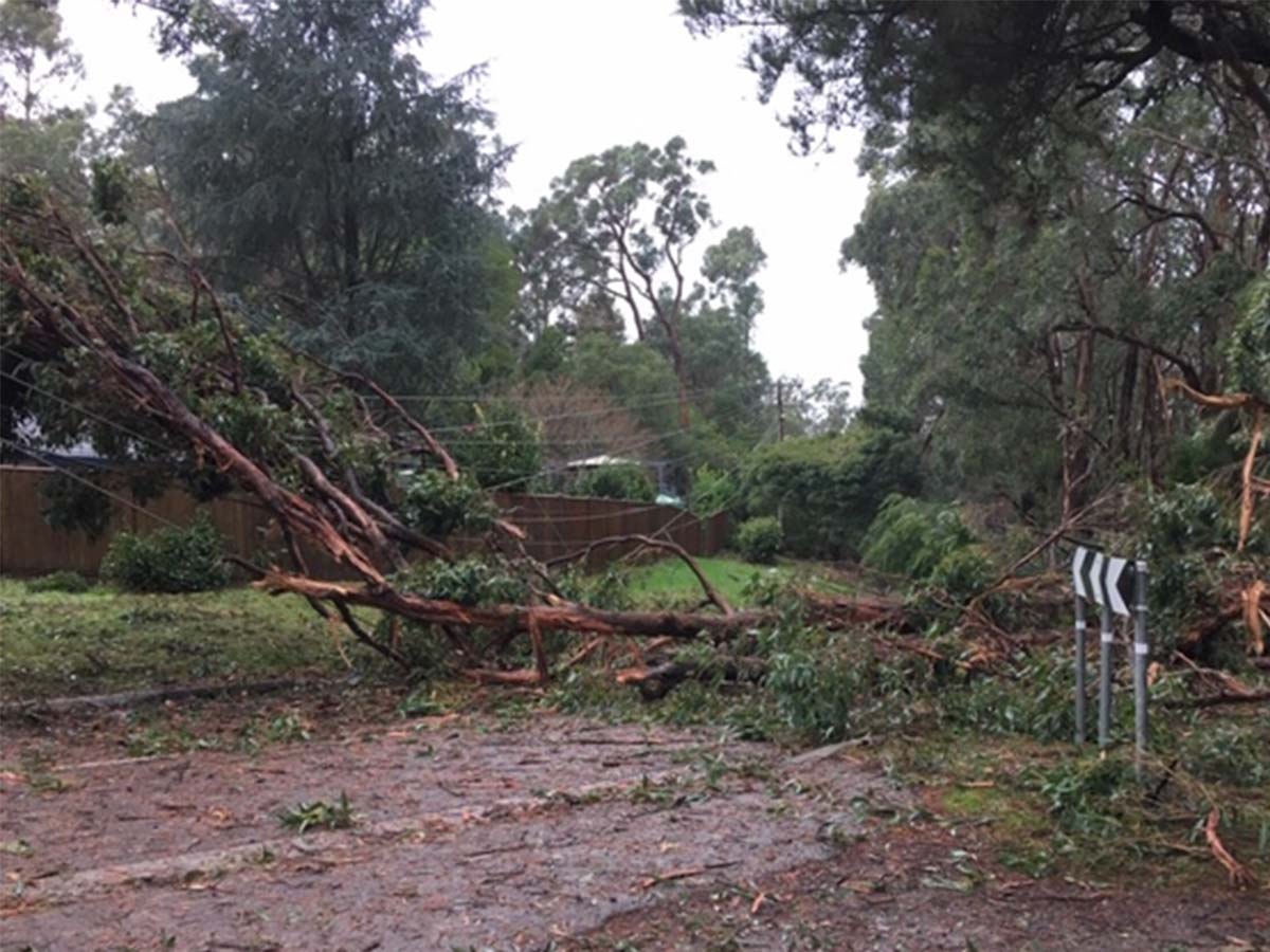 Article image for ‘A huge amount’ of Victorian homes still without power after five days