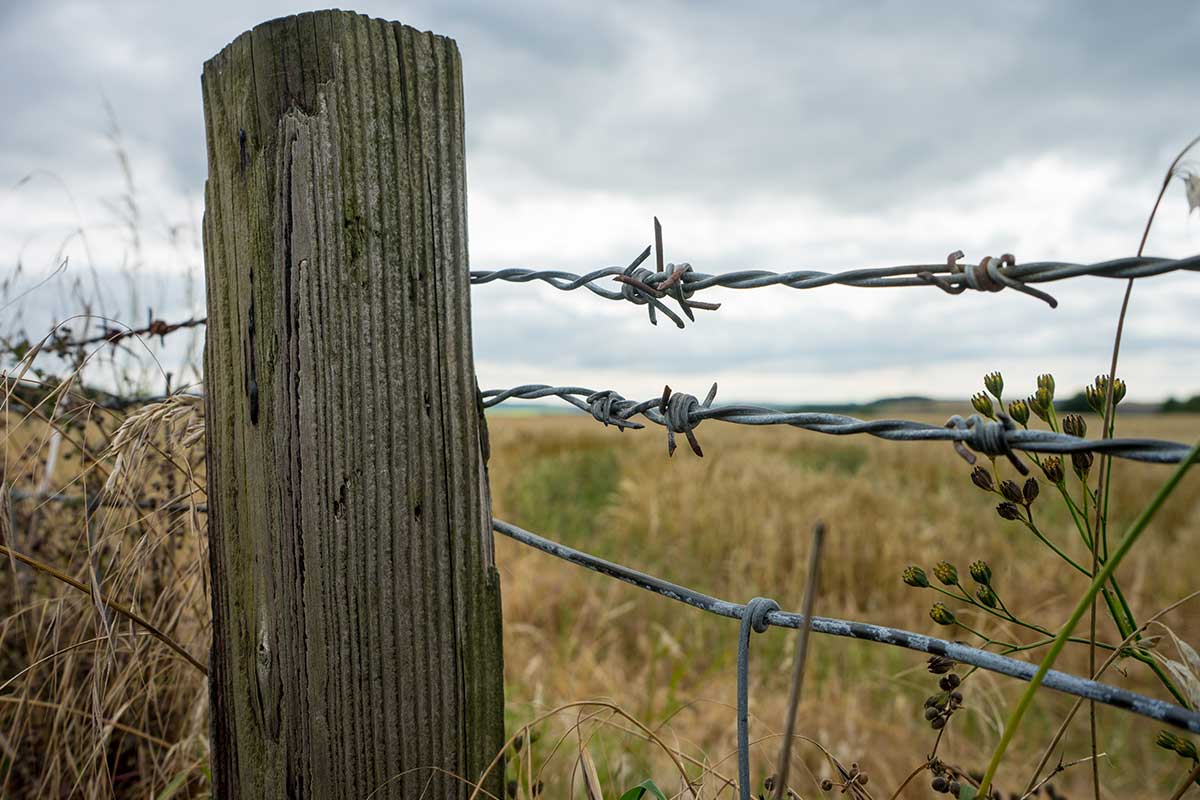 Article image for Farmers react to ‘uneducated’ bid to ban barbed wire fencing