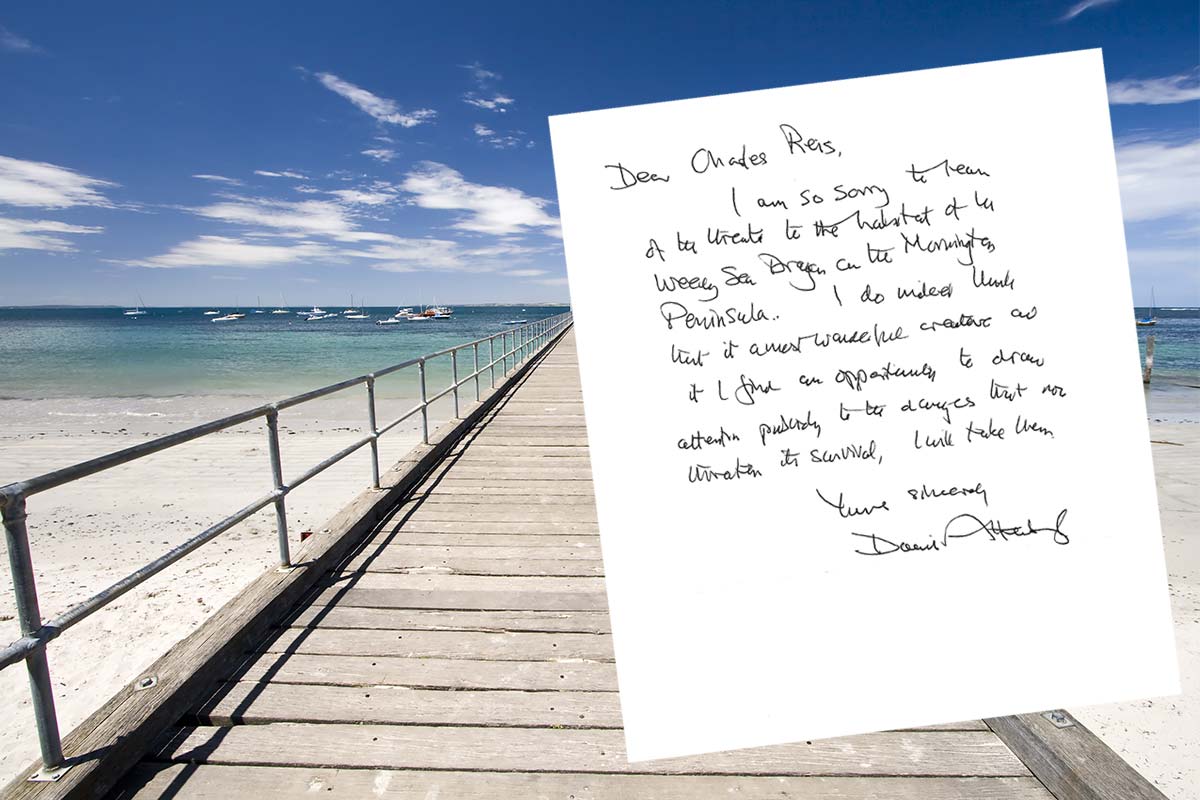Article image for David Attenborough pens handwritten letter to save a Victorian pier