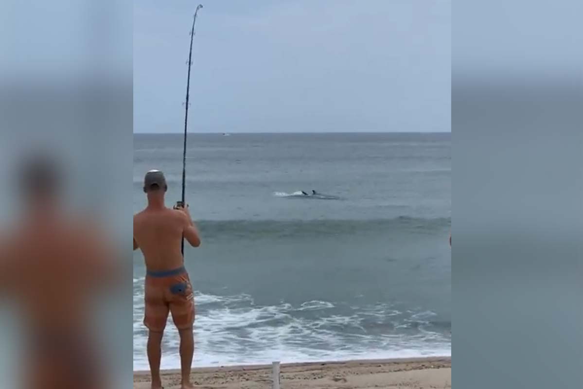 Article image for VIDEO: Man hooks ‘wicked big’ great white shark
