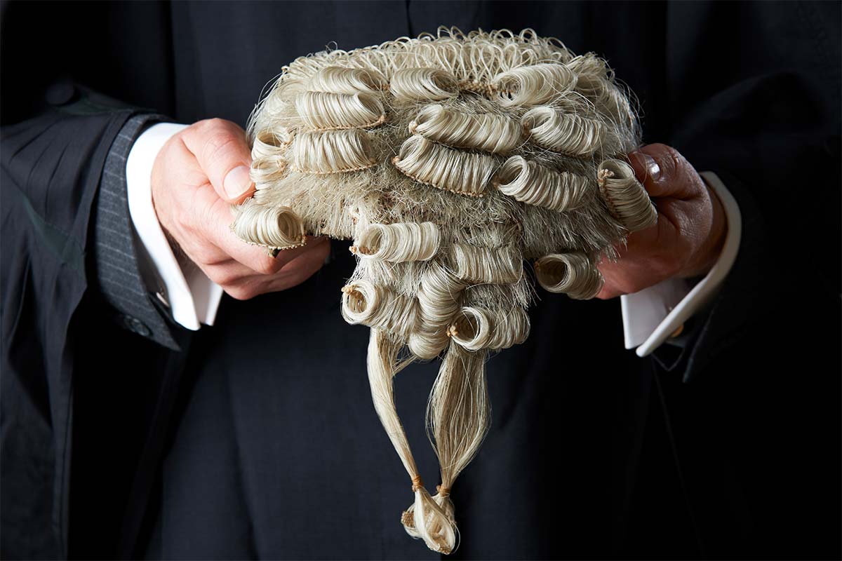 Barrister lawyer wig