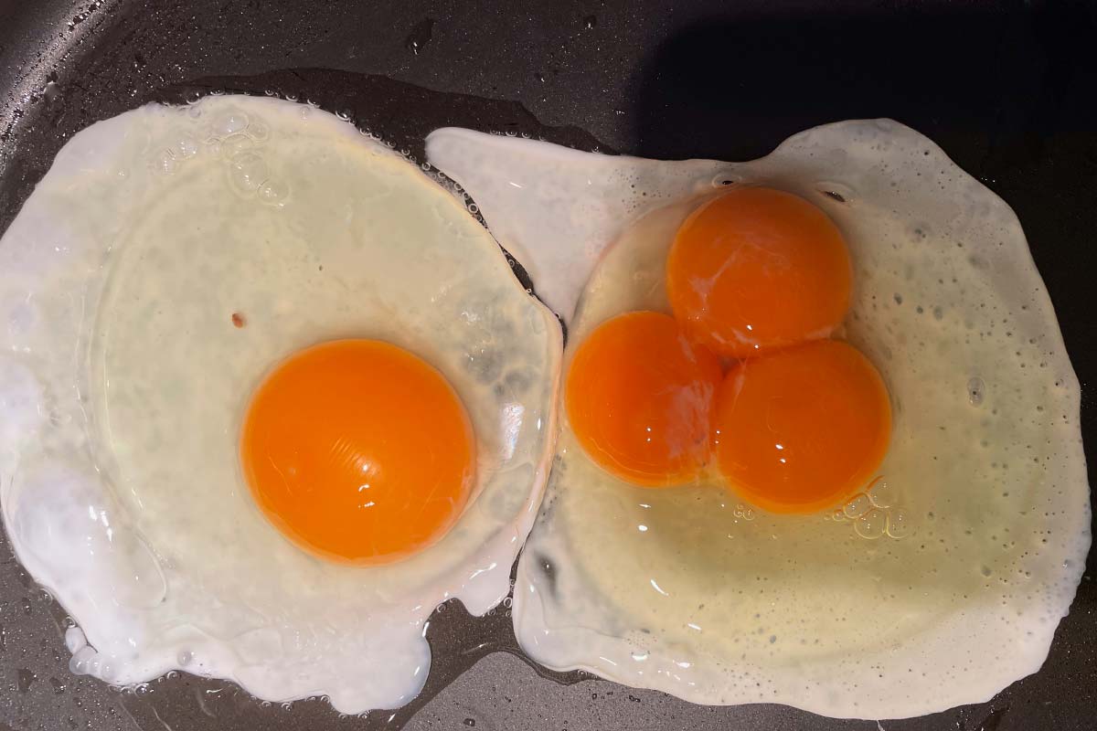 Article image for Two 3AW Mornings listeners came across eggs that are one-in-25 million this week