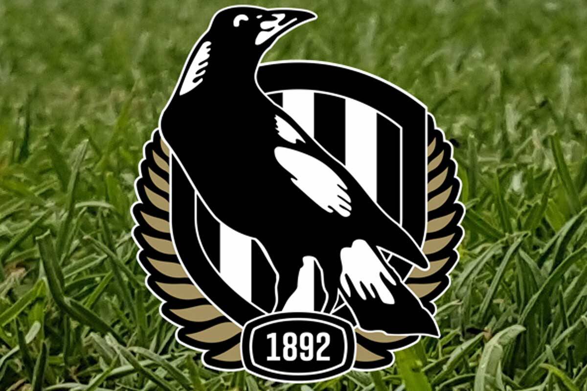 Article image for Jeff Browne appointed Collingwood president