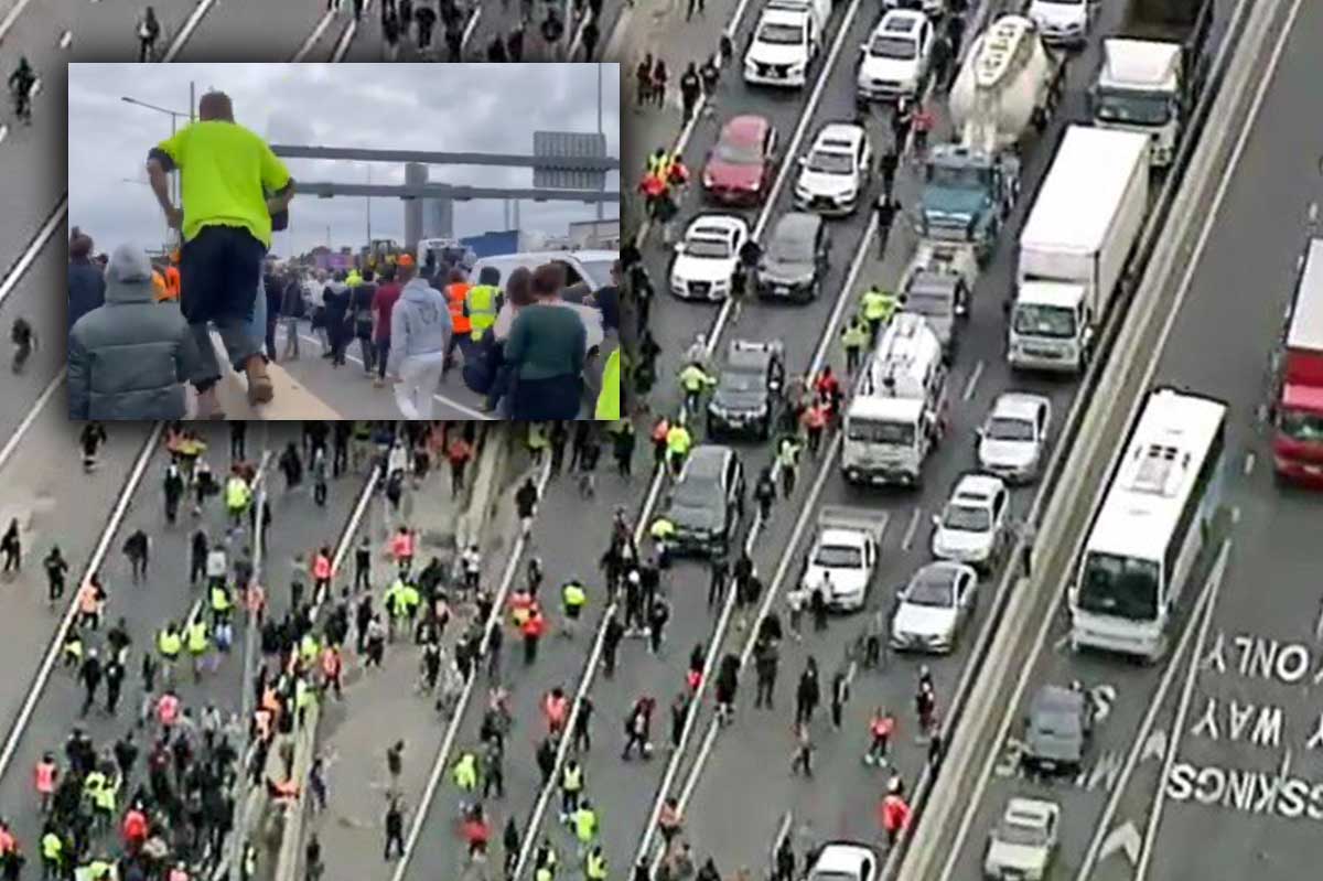 Article image for Violent anti-vaccination protest ends up on West Gate Freeway