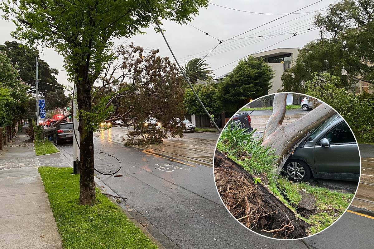 Article image for ‘Treacherous’ weather: Southern Victoria lashed by dangerous winds
