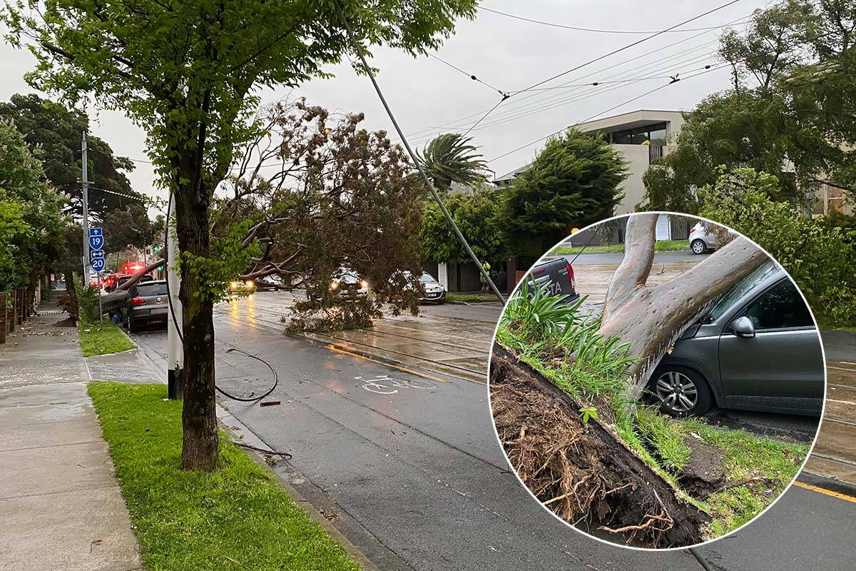Article image for ‘Treacherous’ weather: Southern Victoria lashed by dangerous winds