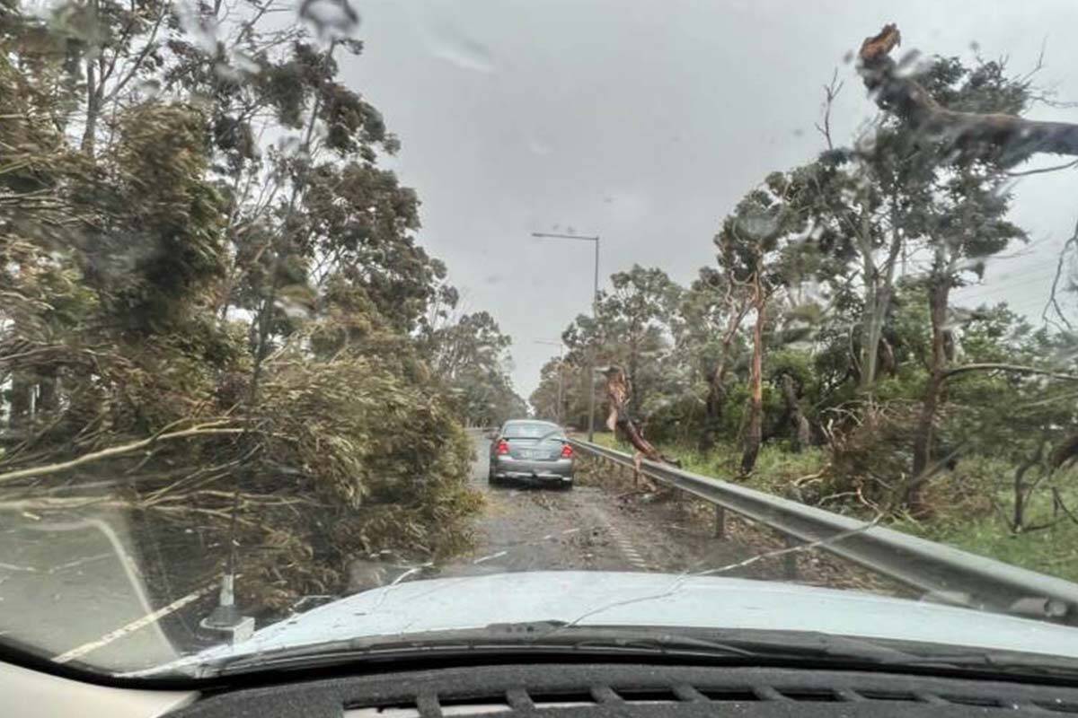 Article image for Grim message after ‘quite extraordinary’ winds leave more than 430,000 households without power