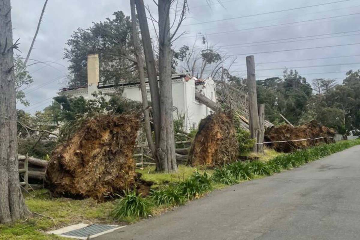 Article image for PHOTOS: Savage winds fell trees, rip off roofs and topple trucks