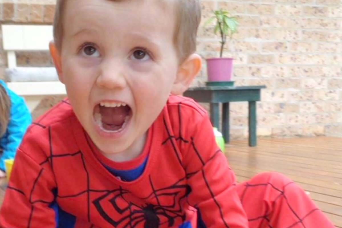 Article image for Car seized as police probe new theory in William Tyrrell disappearance