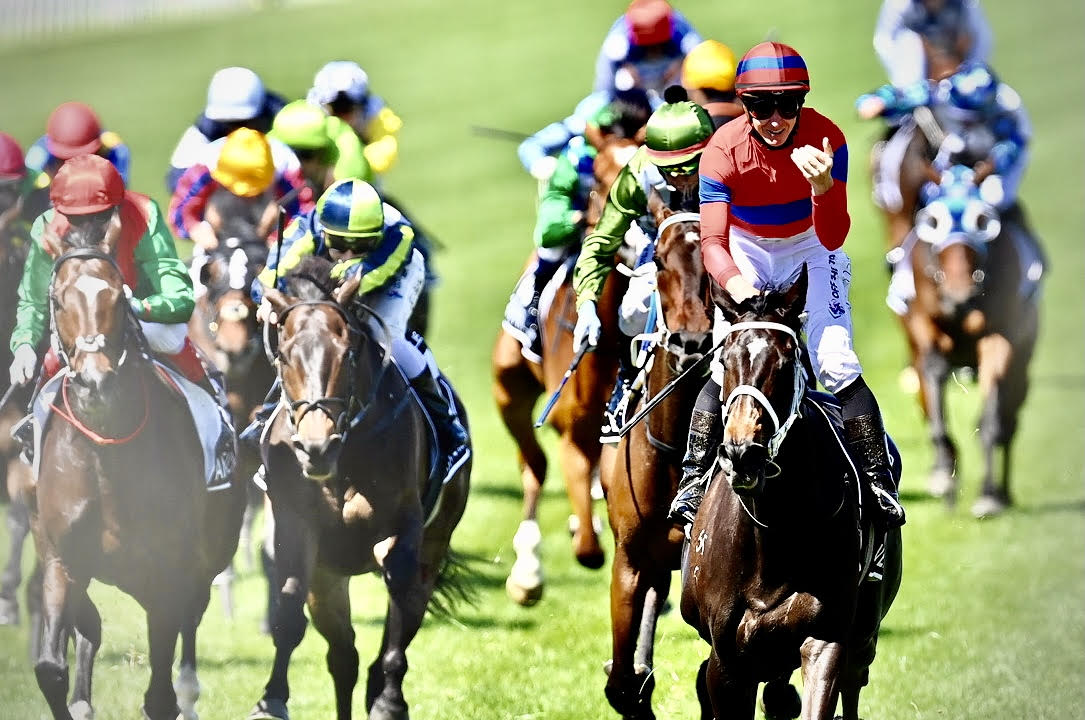 Article image for Fan favourite Verry Elleegant wins a famous edition of the Melbourne Cup