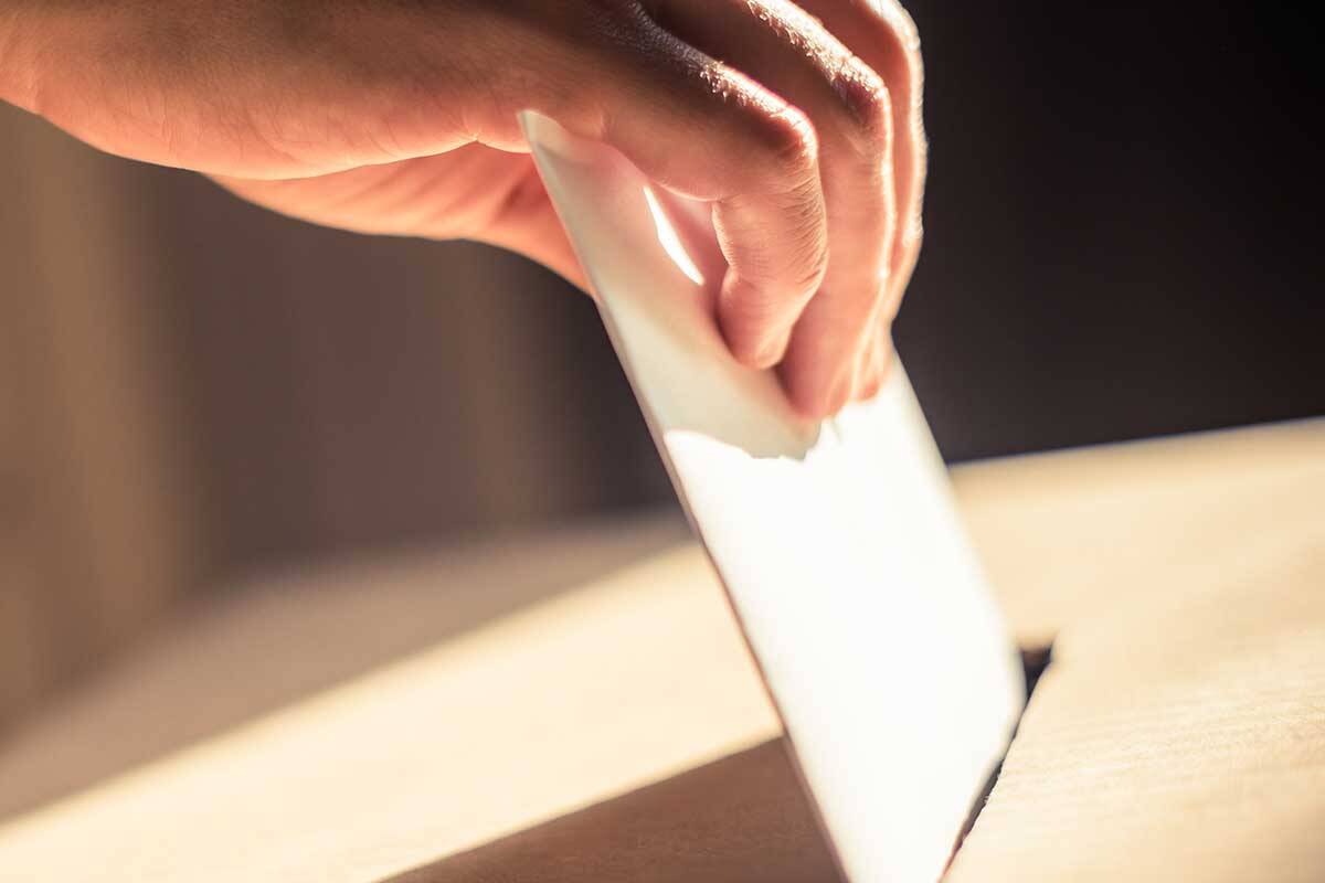 Article image for United Australia Party claims last Victorian Senate seat
